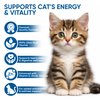 PurrVita Taurine Supplement for Cats, Taurine for Cats, Taurine Powder, Protect Heart, Eyes, and Immune Function for Cat-200G (1)