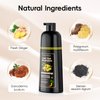 Hair Dye Shampoo 3 in 1, Natural Hair Dye Semi Permanent Hair Color, Gray Hair Cover Up, Ginger Essence shampoo for Color Treated Hair for Women and Men (500ml)