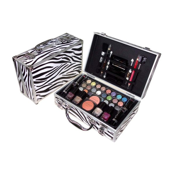 Cameo Carry All Trunk Train Case