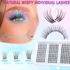 Lash Clusters Wispy Eyelash Clusters Natural C Curl Cluster Lashes zanlufly Wispy Individual Lashes 180Pcs Eyelash Extension 10 12 14MM DIY Lash Extension