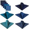 SHLAX&WING 5 Pieces Assorted Mens Silk Pocket Square Handkerchiefs Set 20