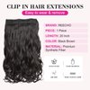 REECHO 20" 1-Pack 3/4 Full Head Curly Wave Clips in on Synthetic Hair Extensions HE008 Hairpieces for Women 5 Clips 4.5 Oz per Piece - Black brown