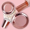 Rose Gold Party Supplies (Rose Gold Party Supplies (16 serves))