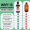 Moringa Oil 16.9 oz – Natural Face, Hair & Body Oil, 100% Pure, Cold-Pressed & Unrefined Moringa Seed Oil, Gluten-Free, Non-GMO, Vegan (500 ml)