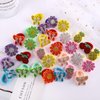 Fishdown 30 Pcs Glitter Hair Ties for Girls Sequin Hair Ties for Toddlers Seamless Small Ponytail Holders Rhinestone Sequin Sparkle Flower Butterfly cartoon Elastic Rubber Bands for Kids