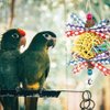LUOZZY Parrot Foraging Toy Parrot Chewing Toy Bird Bell Pendant Bird Cage Supply Pet Accessories - Random Color
