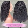 200% Density Mongolian Curly Human Hair Wigs 13X4 HD Lace Front Wigs Wear and Go Glueless Wigs Human Hair Pre Plucked with Baby Hair Unprocessed Virgin Hair Natural Black Color Curly Wig 16Inch