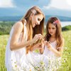 9Pcs Flower Hair Clips Artificial Rose Hair Barrettes Floral Wedding Beach Party Decor Hair Accessories for Women Girls