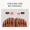 btartboxnails XCOATTIPS Toe Nail Tips - Fit for Big & Long Toenail French Tip Press On Toenails, Brown Soft Gel Toe Press On Nails, 150pcs Soak Off Fake Toe Nails Extensions