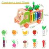 DUCOMINGTOY Montessori Wooden Educational Toys Includes Carrot Harvest Game Sorting and Stacking Toys Magnetic Fishing Game Montessori Wooden Activity Bus Walk-A-Long Toy Truck for Boys Girls Kids…