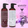 PURA D'OR 16 Oz ColorHarmony Purple Shampoo For Bleached, Blonde, Silver & Color Treated Hair - Keratin, Bamboo Fiber, No Sulfates, Select Natural Ingredients - Men & Women