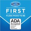 DenTek Comfort Clean Floss Picks Fresh Mint 150 Count (2 Pack)