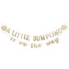 CIEQR A Little Dumpling is On The Way Baby Shower Banner - Baby Shower Decorations, Gender Reveal Hanging Banner Sign Decor, Gender Reveal Decorations for Party Indoor Outdoor...