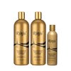 Rinju Gold Shea Butter Lotion 16 oz. (2 Pack) with a Gold 8 oz. - Vitamin E & A - Body & Hand Lotion for All Skin Types