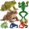 Realistic 6 PCS Animal Frog Bullfrog Model Figures Figurine Family Party Favors Supplies Cake Toppers Set Toys for 5 6 7 8 Years Old Boys Girls Kid Toddlers