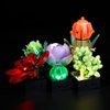 Kyglaring LED Lighting Kit Only Lights Set Designed for Lego Succulents 10309 Plant Decor Model Building Set - Without Lego Set (Classic Version)