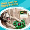 Pets First NFL Superbowl Champion Puzzle Toy, Puzzle Treat Dog Toy, Interactive Dog Treat Toy, Football Champ Slow Feeding Toy