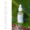 Sea-El Matcha Face Oil Skincare - Hydrating Glow Green Tea & Sea Kelp Facial Oil Blend - Calming & Deeply Penetrating Antioxidant-Rich Moisturizer for Women & Men, Vegan, All Skin Types - 1 Fl Oz