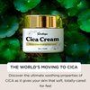 TERRAFIQUE Cica Cream - Centella Moisturizer Face Cream - Anti Aging Face Cream For Women - Hydrating Face Moisturizer For All Skin Types - 5 Oz / 150 Ml