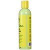 Jamaican Mango & Lime Mango & Shea Butter Lotion 8 Oz