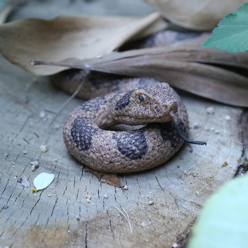 SIENON Realistic Fake Snakes Toy Soft Rubber Snake Figure Garden Snake Scare Birds and Squirrels, Rattlesnake Toy Figurines Stress Relief Gag Toys Halloween Decoration Party Favors Prank Props