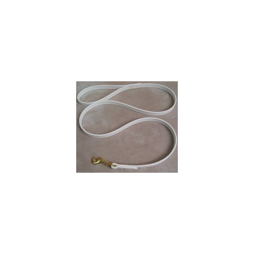 White Dog Leash 6 Foot 5/8" Wide Beta Biothane