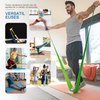 5 Pcs Professional Resistance Bands. Latex-Free, Elastic Band, Work Out Bands, Stretch Bands for Working Out Women or Men, Exercise Bands Set for Physical Therapy, Yoga, Pilates (5 Colour Set)