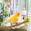 Parakeet Toys, Love Birds Toys, Bird Plastic Ball Toys Cockatiel, Budgerigar Hanging Swing for Climb Bird Cage Colorful Toys