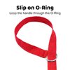 Downtown Pet Supply - 6ft Dog Kennel Slip Lead Dog Leash - Veterinarian, Dog Grooming, Daycare & Animal Rescue Dog Supplies - One Size Leads for Dogs Bulk - 1" Thick - 12 Pack