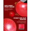 Harrison Howard Mega Horse Play Ball Anti-Burst Giant Horse Ball Horse Soccer Ball 22 Inch-Scarlet Red