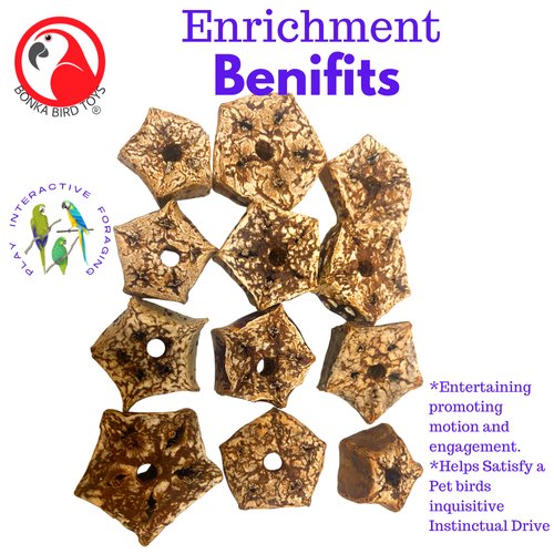 Bonka Bird Toys 3893 Pk12 Mahogany Sliced Pods Foot Talon Craft Part Bird Toys Parakeet Cockatiel Conure