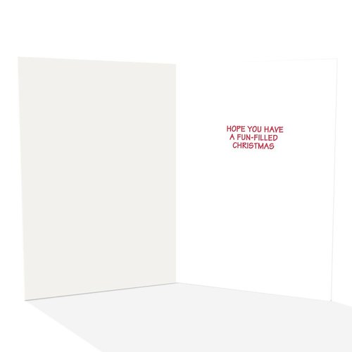 Stonehouse Collection - Christmas Cards Boxed with Envelopes, Funny Christmas Cards, Happy Holidays Cards, Funny Santa Holiday Greeting Card, Boxed Christmas Cards - Set of 18