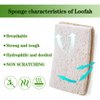 Wangda.G Upgrade Natural Loofah Kitchen Sponges 6 Pack, eco Friendly sponges for Dishes ,Reusable Kitchen sponges and scrubbers,luffa sponges Dish sponges for Washing Dishes dishwashing sponges