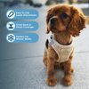 Voyager Step-In Plush Dog Harness – Soft Plush, Step In Vest Harness for Small and Medium Dogs by Best Pet Supplies - Harness (Latte Suede), XS (Chest: 13 - 14.5")