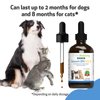 Pet Wellbeing Smooth BM Gold for Cats & Dogs - Vet-Formulated - Gentle Constipation Relief - Natural Herbal Supplement 4 oz (118 ml)