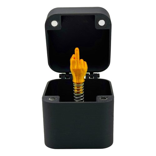 DUMPILL Middle Finger in a Box, Golden Middle Finger Prank Box, Middle Finger Surprise Gag Gift Box, Just for You Middle Finger Box, Finger Jack in The Box Office, Birdie in a Box Middle Fingers