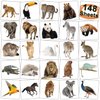 CHARLENT Jungle Animals Temporary Tattoos for Kids Party Supplies - 148 Individually Sheets Safari Animals Tattoos for Boys Girls Animals Birthday Party Favors Goodie Bag Fillers