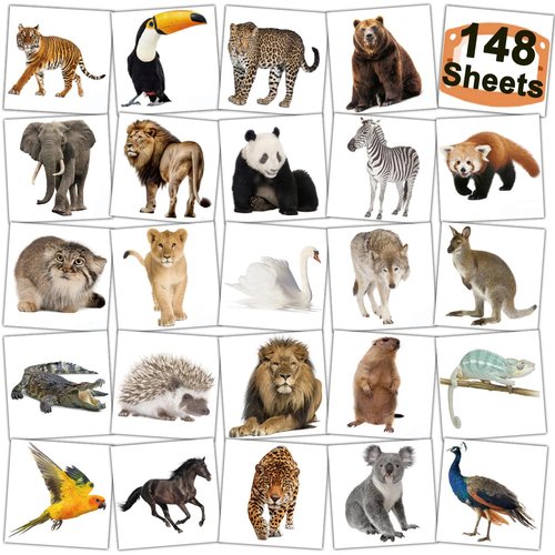 CHARLENT Jungle Animals Temporary Tattoos for Kids Party Supplies - 148 Individually Sheets Safari Animals Tattoos for Boys Girls Animals Birthday Party Favors Goodie Bag Fillers