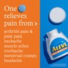 Aleve Back & Muscle Pain Relief Naproxen Sodium Tablets, Pain Reliever & Fever Reducer, Medicine for Body , 250 Count