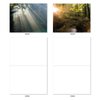 The Best Card Company - 20 Landscape Nature Note Cards Blank (4 x 5.12 Inch) (10 Designs, 2 Each) - Shining Through AM1735OCB-B2x10