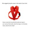 VANFAVORI Bird Harness with Buckle Clip and A Leash, Easy to Wear Training Kit for Bird Parrots Cockatiel S Size Weight 85-105 Grams,Red