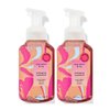 Bath and Body Works Gentle Foaming Hand Soap 8.75 Ounce 2-Pack (Rose Water & Ivy & Mahogany Teakwood)