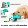Pawfect Dog Teething Toy | Durable Rubber Chew Toy for Aggressive Chewers, Interactive Dog Fetch Toy with Rope (Blue)