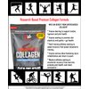 PhysiVantage Supercharged Collagen Peptides Powder - Hydrolyzed Collagen for Joint, Tendon, Ligament, & Skin Health Support - Vanilla, Keto, Paleo, 16oz | Enhanced with Vitamin C, BCAAs, Grass-Fed