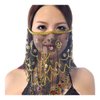 Baisdan Face Veils Belly Dance Costumes Mesh Face Veil with Beaded Halloween Costume Accessory (One Size, Black)