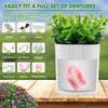 Denture Bath, Invisible Denture Case Designed As Artificial Eucalyptus Potted Plants, Denture Cup With Strainer For Retainer, Mouth Guard & Dentures, Perfect For Home Decoration…