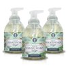Nature's Oil Foaming Hand Soap, Peppermint, 10 Fluid Ounces (3 Pack)