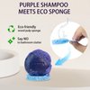Sulfate Free Brass Toning Purple Shampoo Bar for Blonde, Bleached, Silver, or Brown Highlighted Hair, Travel Friendly, with Tin Container +Sponge
