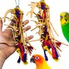 Bonka Bird Toys 2621 Small Leather Braid Chew Preen Parrot Cage Toy, Cockatiel, Parakeet, Conure, and Similar Breed Sizes