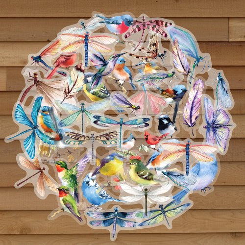 80pcs Insect Stickers, Transparent Decorative Stickers Bird Stickers Dragonfly Stickers, for Scrapbook Supplies Card Making Books Postcard Water Bottles Laptop Computer DIY etc.